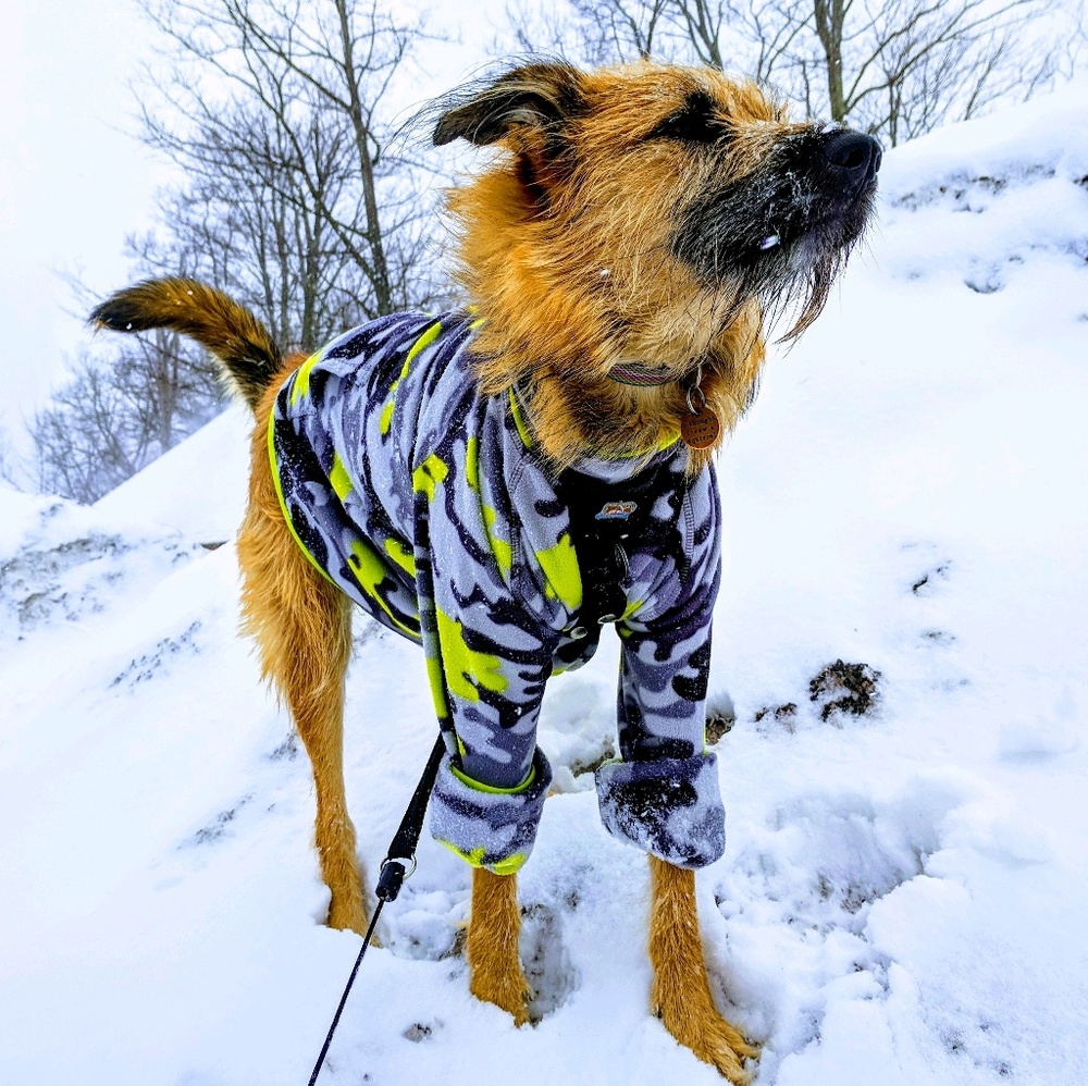 Meet your Posher, Chad